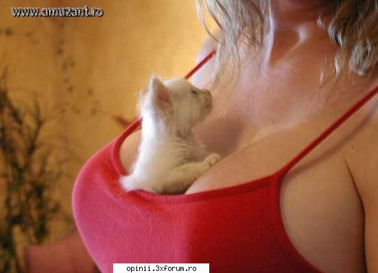 Animalutze - Myosotis - Funny pics