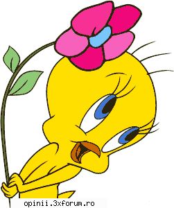 Desene Animate - Myosotis - Filme