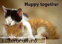 Funny caracters - me and my girlfriend :D - Funny pics