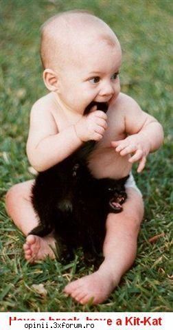 Funny caracters - Have a break.Have a Kit-kat! - Funny pics