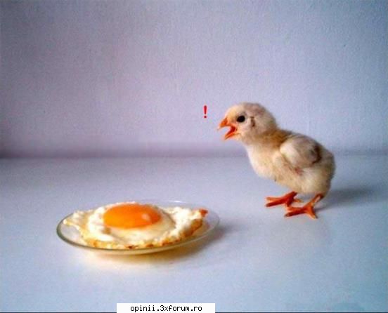 Things happen - Myosotis - Funny pics